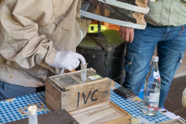 IVC_260523_0273